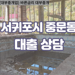 중문동대부업체 중문동비대면대출 서귀포시대부업체개인돈 중문동월변대부대출 중문동소액대부업체