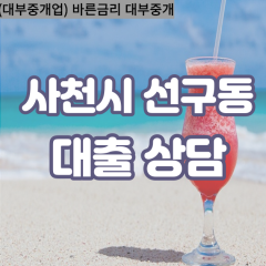 선구동대부업체 선구동비대면대출 사천시대부업체개인돈 선구동월변대부대출 선구동소액대부업체