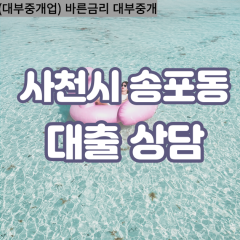 송포동대부업체 송포동비대면대출 사천시대부업체개인돈 송포동월변대부대출 송포동소액대부업체