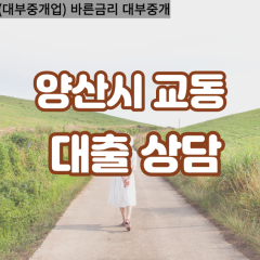 교동대부업체 교동비대면대출 양산시대부업체개인돈 교동월변대부대출 교동소액대부업체