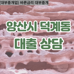 덕계동대부업체 덕계동비대면대출 양산시대부업체개인돈 덕계동월변대부대출 덕계동소액대부업체