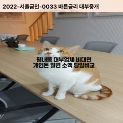 평내동대부대출 평내동비대면대출 남양주시대부업체개인돈 평내동월변대부업체 평내동소액월변대출