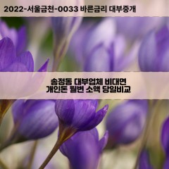 송정동대부대출 송정동비대면대출 대구동구대부업체개인돈 송정동월변대부업체 송정동소액월변대출