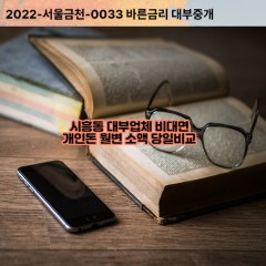 시흥동대부대출 시흥동비대면대출 성남시수정구대부업체개인돈 시흥동월변대부업체 시흥동소액월변대출