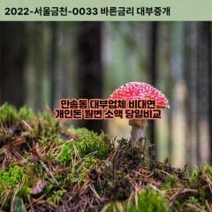 만송동대부대출 만송동비대면대출 양주시대부업체개인돈 만송동월변대부업체 만송동소액월변대출