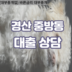 중방동대부대출 중방동비대면대출 경산시대부업체 중방동급전대출개인돈 중방동소액월변대출