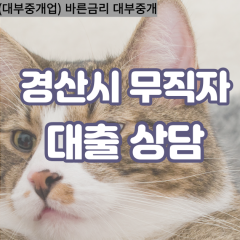 남산면대부대출 남천면비대면대출 경산시대부업체 압량읍급전대출개인돈 와촌면소액월변대출