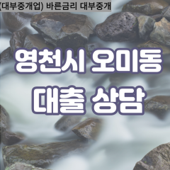 오미동대부대출 오미동비대면대출 영천시대부업체 오미동급전대출개인돈 오미동소액월변대출