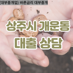 개운동대부대출 개운동비대면대출 상주시대부업체 개운동급전대출개인돈 개운동소액월변대출