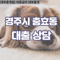 충효동대부대출 충효동비대면대출 경주대부업체 충효동급전대출개인돈 충효동소액월변대출