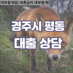 평동대부대출 평동비대면대출 경주대부업체 평동급전대출개인돈 평동소액월변대출