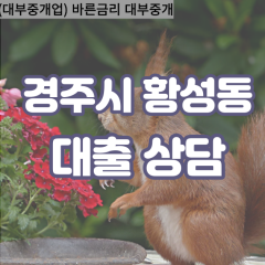 황성동대부대출 황성동비대면대출 경주대부업체 황성동급전대출개인돈 황성동소액월변대출