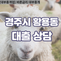 황용동대부대출 황용동비대면대출 경주대부업체 황용동급전대출개인돈 황용동소액월변대출