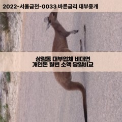 상림동대부대출 상림동비대면대출 전주시완산구대부업체 상림동급전대출개인돈 상림동소액월변대출