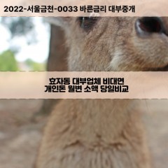 효자동대부대출 효자동1가비대면대출 전주시완산구대부업체 효자동2가급전대출개인돈 효자동3가소액월변대출