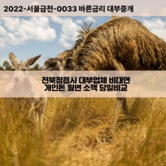 옹동면대부대출 이평면비대면대출 전북정읍시대부업체 입암면급전대출개인돈 정우면소액월변대출