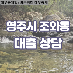 조와동대부대출 조와동비대면대출 영주시대부업체 조와동급전대출개인돈 조와동소액월변대출