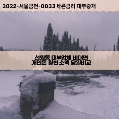 선원동대부대출 선원동비대면대출 전남여수시대부업체 선원동급전대출개인돈 선원동소액월변대출