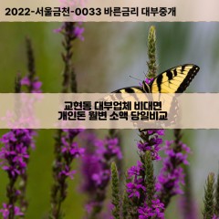 교현동대부대출 교현동비대면대출 충북충주시대부업체 교현동급전대출개인돈 교현동소액월변대출