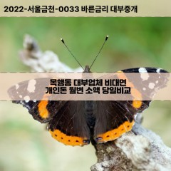 목행동대부대출 목행동비대면대출 충북충주시대부업체 목행동급전대출개인돈 목행동소액월변대출