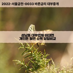 성남동대부대출 성남동비대면대출 충북충주시대부업체 성남동급전대출개인돈 성남동소액월변대출