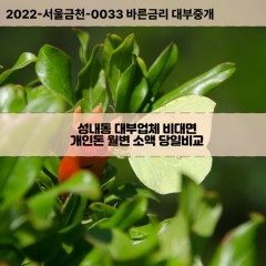 성내동대부대출 성내동비대면대출 충북충주시대부업체 성내동급전대출개인돈 성내동소액월변대출