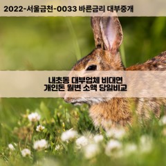 내초동대부대출 내초동비대면대출 전북군산시대부업체 내초동급전대출개인돈 내초동소액월변대출