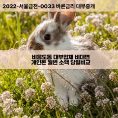 비응도동대부대출 비응도동비대면대출 전북군산시대부업체 비응도동급전대출개인돈 비응도동소액월변대출