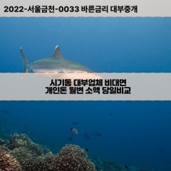 시기동대부대출 시기동비대면대출 전북정읍시대부업체 시기동급전대출개인돈 시기동소액월변대출