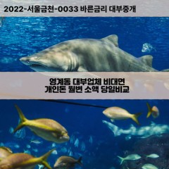 용계동대부대출 용계동비대면대출 전북정읍시대부업체 용계동급전대출개인돈 용계동소액월변대출