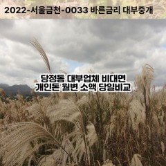 당정동대부대출 당정동비대면대출 하남시대부업체 당정동급전대출개인돈 당정동소액월변대출