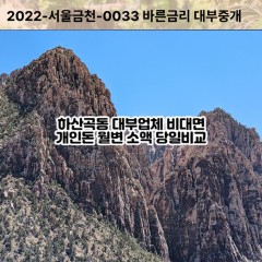 하산곡동대부대출 하산곡동비대면대출 하남시대부업체 하산곡동급전대출개인돈 하산곡동소액월변대출