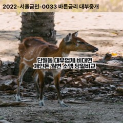 단월동대부대출 단월동비대면대출 이천시대부업체 단월동급전대출개인돈 단월동소액월변대출