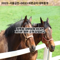 장록동대부대출 장록동비대면대출 이천시대부업체 장록동급전대출개인돈 장록동소액월변대출