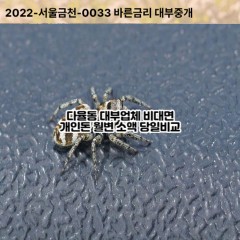 다율동대부대출 다율동비대면대출 파주시대부업체 다율동급전대출개인돈 다율동소액월변대출