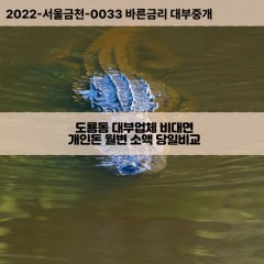 도룡동대부대출 도룡동비대면대출 대전시유성구대부업체 도룡동급전대출개인돈 도룡동소액월변대출