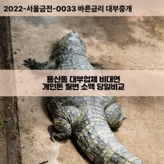 용산동대부대출 용산동비대면대출 대전시유성구대부업체 용산동급전대출개인돈 용산동소액월변대출