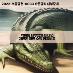 학하동대부대출 학하동비대면대출 대전유성구대부업체 학하동급전대출개인돈 학하동소액월변대출