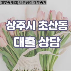 초산동대부대출 초산동비대면대출 상주시대부업체 초산동급전대출개인돈 초산동소액월변대출