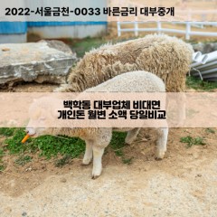 백학동대부대출 백학동비대면대출 전북김제시대부업체 백학동급전대출개인돈 백학동소액월변대출