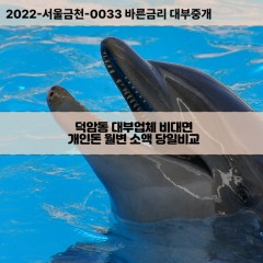 덕암동대부대출 덕암동비대면대출 대전대덕구대부업체개인돈 덕암동월변대부업체 덕암동소액월변대출