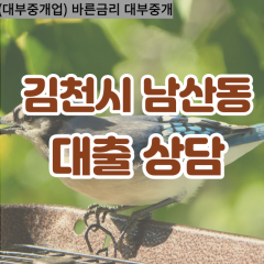 남산동대부대출 남산동비대면대출 김천시대부업체 남산동급전대출개인돈 남산동소액월변대출