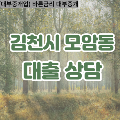 모암동대부대출 모암동비대면대출 김천시대부업체 모암동급전대출개인돈 모암동소액월변대출