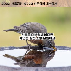 신봉동대부대출 신봉동비대면대출 용인시수지구대부업체 신봉동급전대출개인돈 신봉동소액월변대출