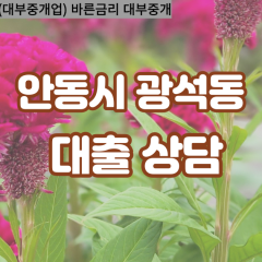 광석동대부대출 광석동비대면대출 안동시대부업체 광석동급전대출개인돈 광석동소액월변대출