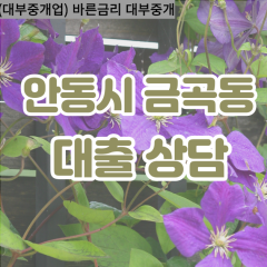 금곡동대부대출 금곡동비대면대출 안동시대부업체 금곡동급전대출개인돈 금곡동소액월변대출