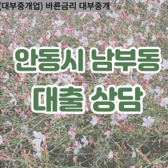 남부동대부대출 남부동비대면대출 안동시대부업체 남부동급전대출개인돈 남부동소액월변대출