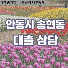 송현동대부대출 송현동비대면대출 안동시대부업체 송현동급전대출개인돈 송현동소액월변대출