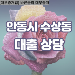 수상동대부대출 수상동비대면대출 안동시대부업체 수상동급전대출개인돈 수상동소액월변대출