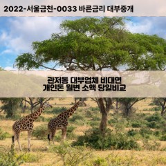 관저동대부대출 관저동비대면대출 대전시서구대부업체개인돈 관저동월변대부업체 관저동소액월변대출